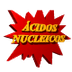 Acidos Nucleicos exposicion 20