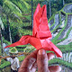 bali origami - YouTube
