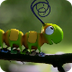 Caterpillar Shoes - Fun Insect