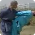 Shaolin kung fu combat: 36 met