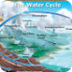 Water Cycle Interactive
