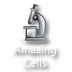 Amazing Cells