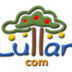 Lullar search by email & name