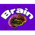 Brain OLogy
