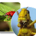 beesies.nl
