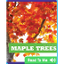 Maple Trees