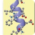 Ácidos nucleicos