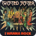 I Wanna Rock