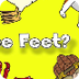 Whose Feet? | Learn Animals So