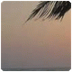 Bungalowpark2