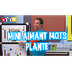 Mini aimants mots : Plante - Y