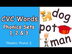 CVC Words using Phonics Sets 1