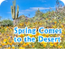 Spring Comes to Desert