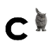 c for cat -
KinderSay