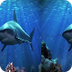 Ocean Predators 3D 2013 1080p 