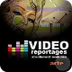 Videos arte