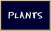 Biology4Kids.com: Plants
