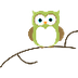 Virtual Owl Pellet Dissection