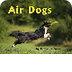 Air Dogs