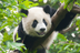 China: Useful facts