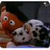 Bert & Ernie - lied hond
