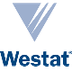 WESTAT Internship Program