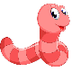 Invertebrates Video