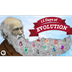 The 12 Days of Evolution