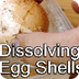 Egg Shell Science Experiment -