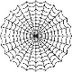 Spider Spinning Web - YouTube
