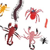 Spiders, Centipedes and Scorpi