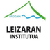 IES Leizaran