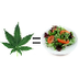 Cannabis Evidence <3