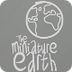 The Miniature Earth Project - 