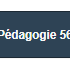 Pédagogie 56 par domaine