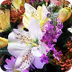 www.flowersbybrian.com