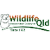 Wildlife Queensland - Northern