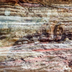 Rocas Sedimentarias