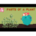Parts Of A Plant | The Dr. Bin