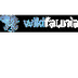 Wikifaunia