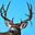 MonsterMuleys.com - Mule Deer,