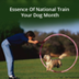 National Train Your Dog Month