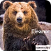 Eleanor Bear - SafeShare.TV