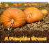 A Pumpkin Grows - YouTube