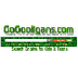 GoGooligans- Search Engine