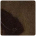 Volkenkunde