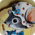 La ratita presumida