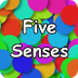 The Five Senses Song | Silly S