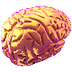 Mindset Kit