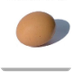 Egg Drop - Fun Science Project
